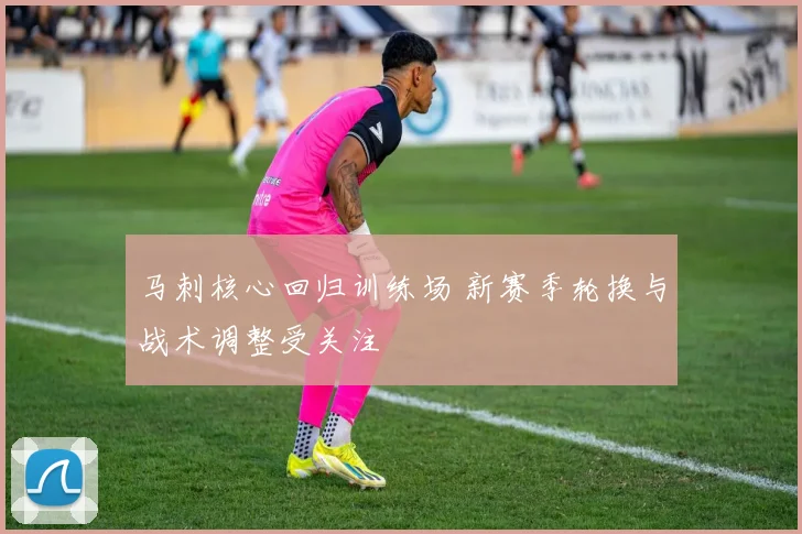 马刺核心回归训练场 新赛季轮换与战术调整受关注