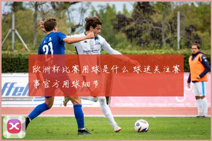 欧洲杯比赛用球是什么 球迷关注赛事官方用球细节